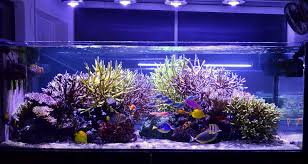 Oświetlenie LED do akwarium